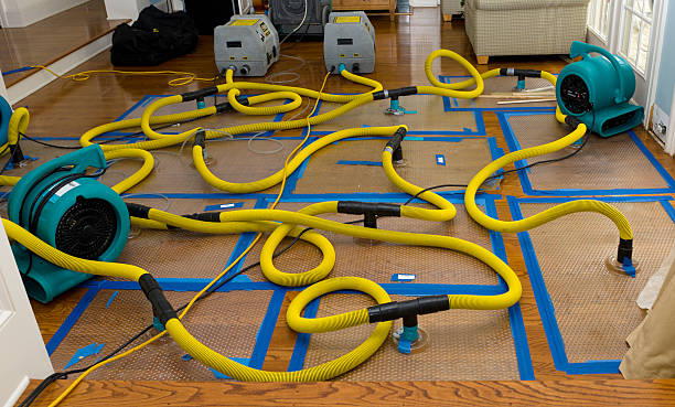 Professional Sewage Cleanup technician working in Florence, MS